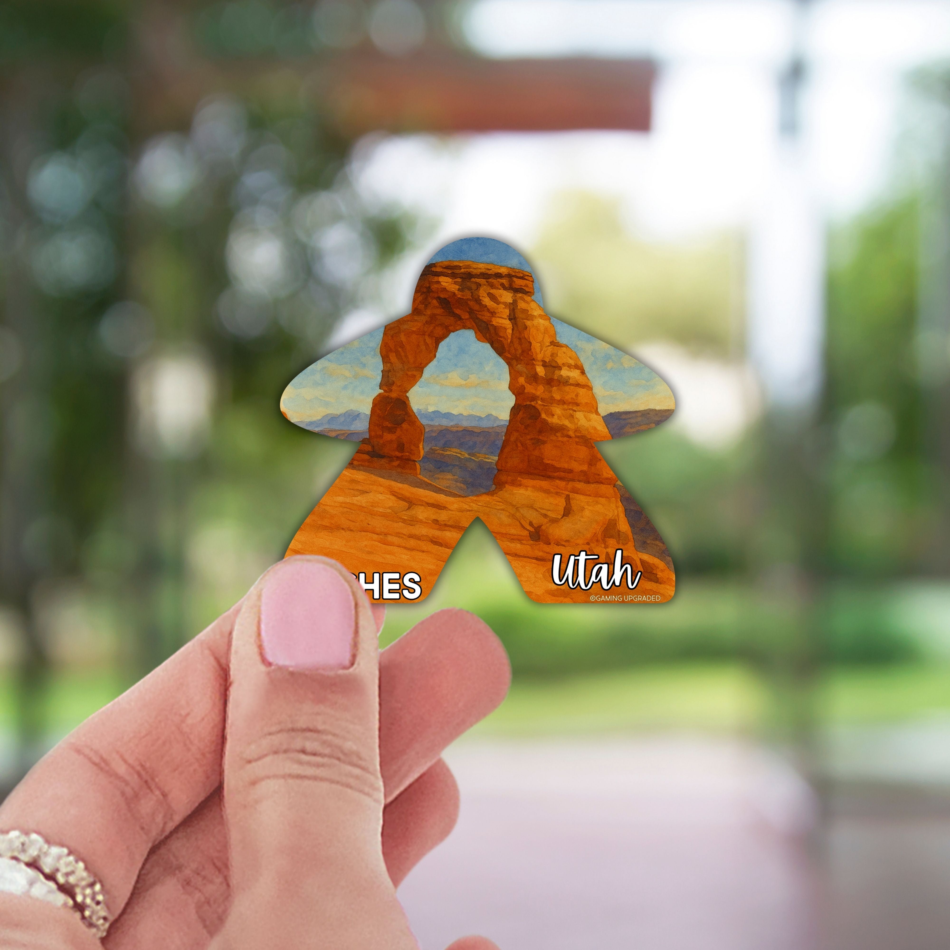 National Park Meeples